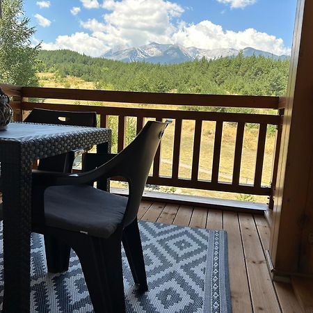 Pm Mountain View Fireside Retreat Bansko Διαμέρισμα Εξωτερικό φωτογραφία
