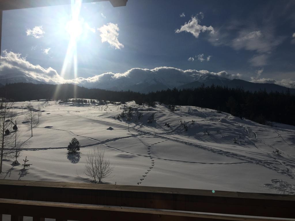 Pm Mountain View Fireside Retreat Bansko Διαμέρισμα Εξωτερικό φωτογραφία